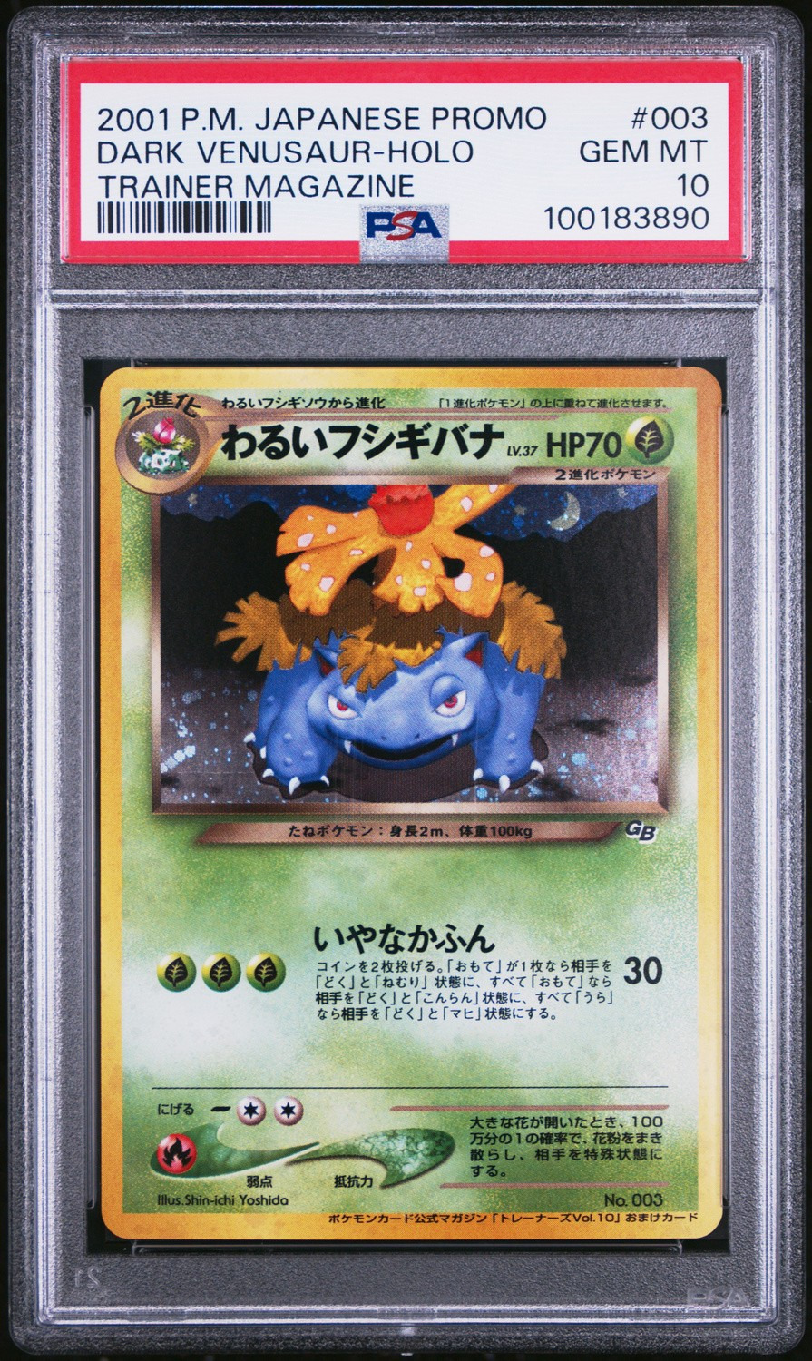 Dark Venusaur