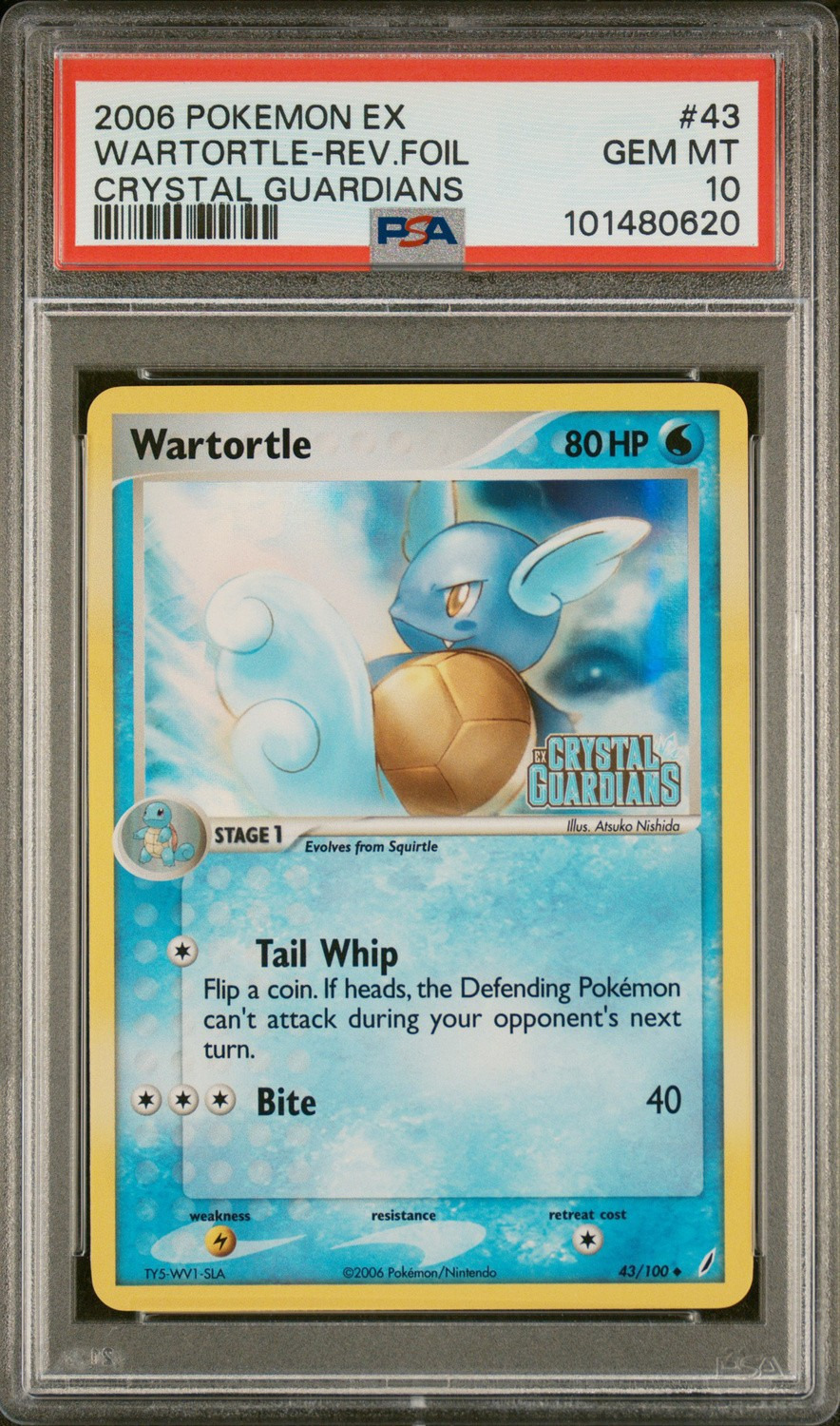 Wartortle