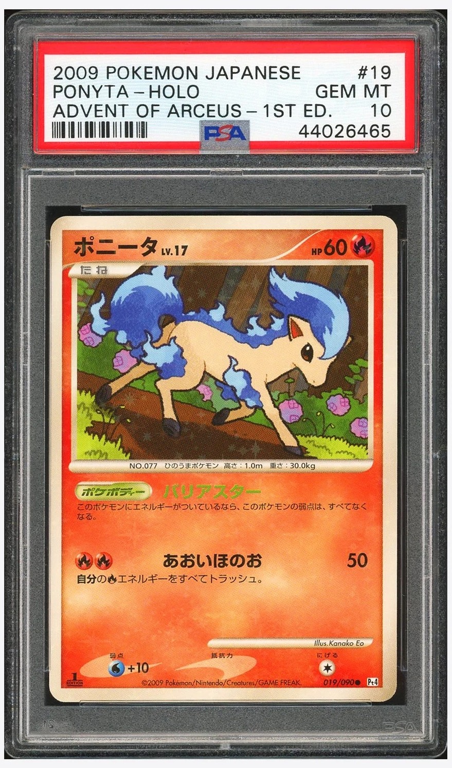 Ponyta