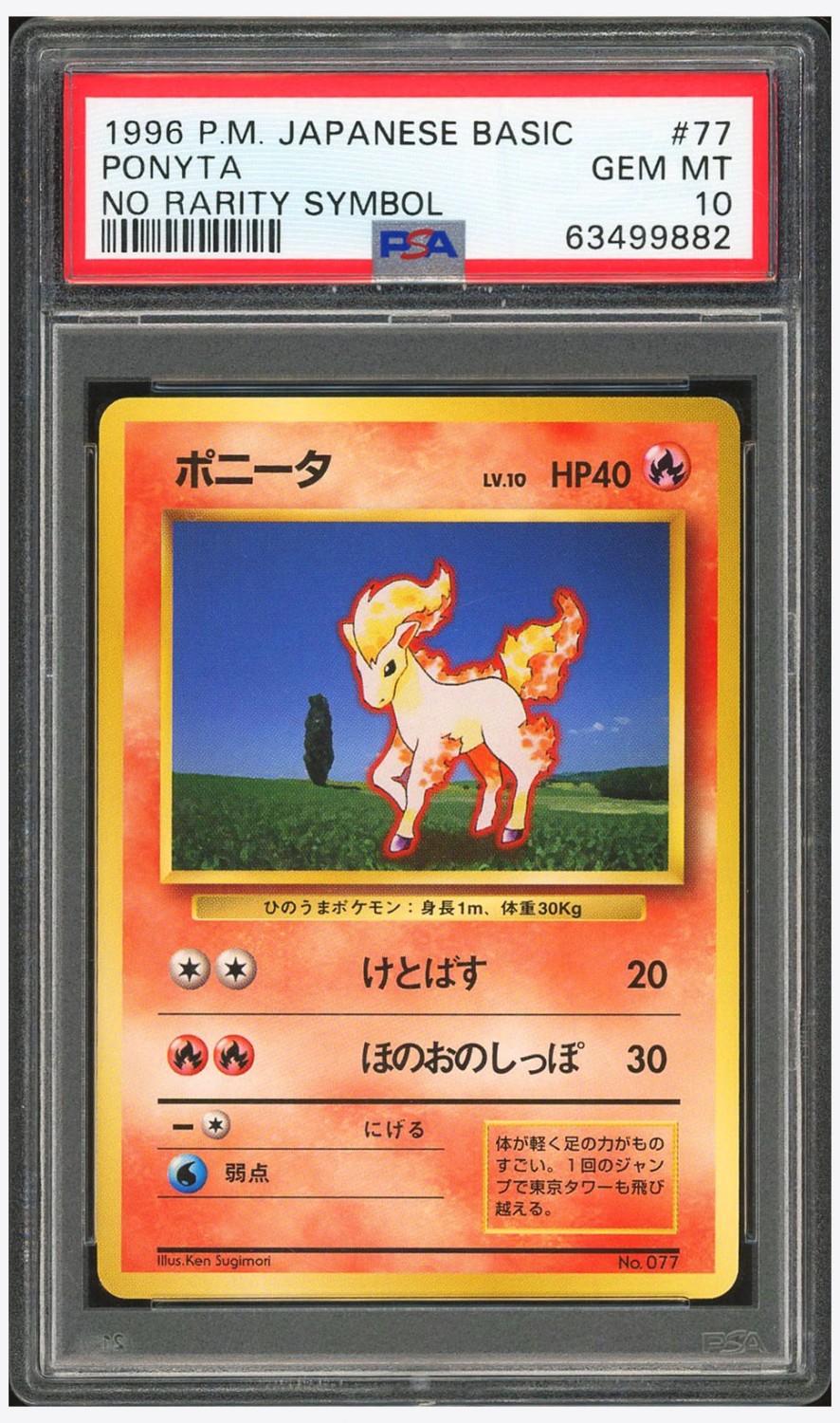 Ponyta