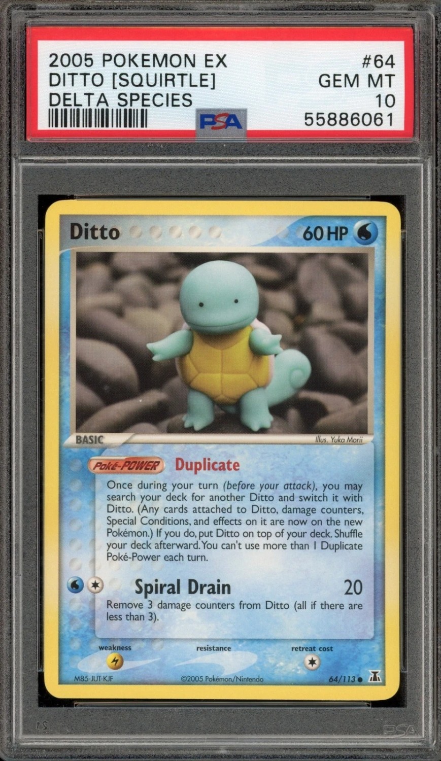 Ditto [Squirtle]