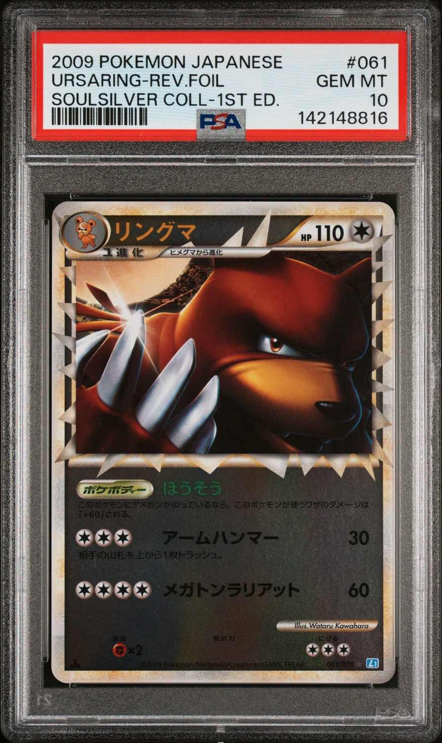 Ursaring