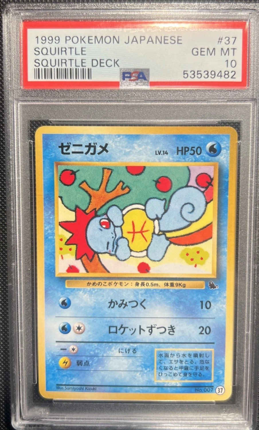 Squirtle