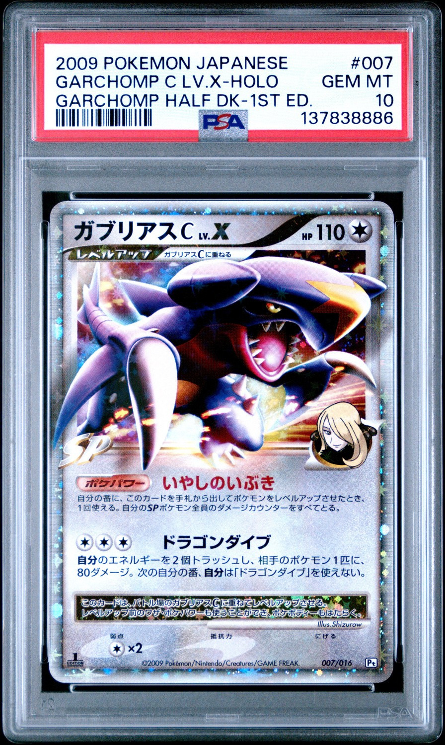 GARCHOMP C LV.X