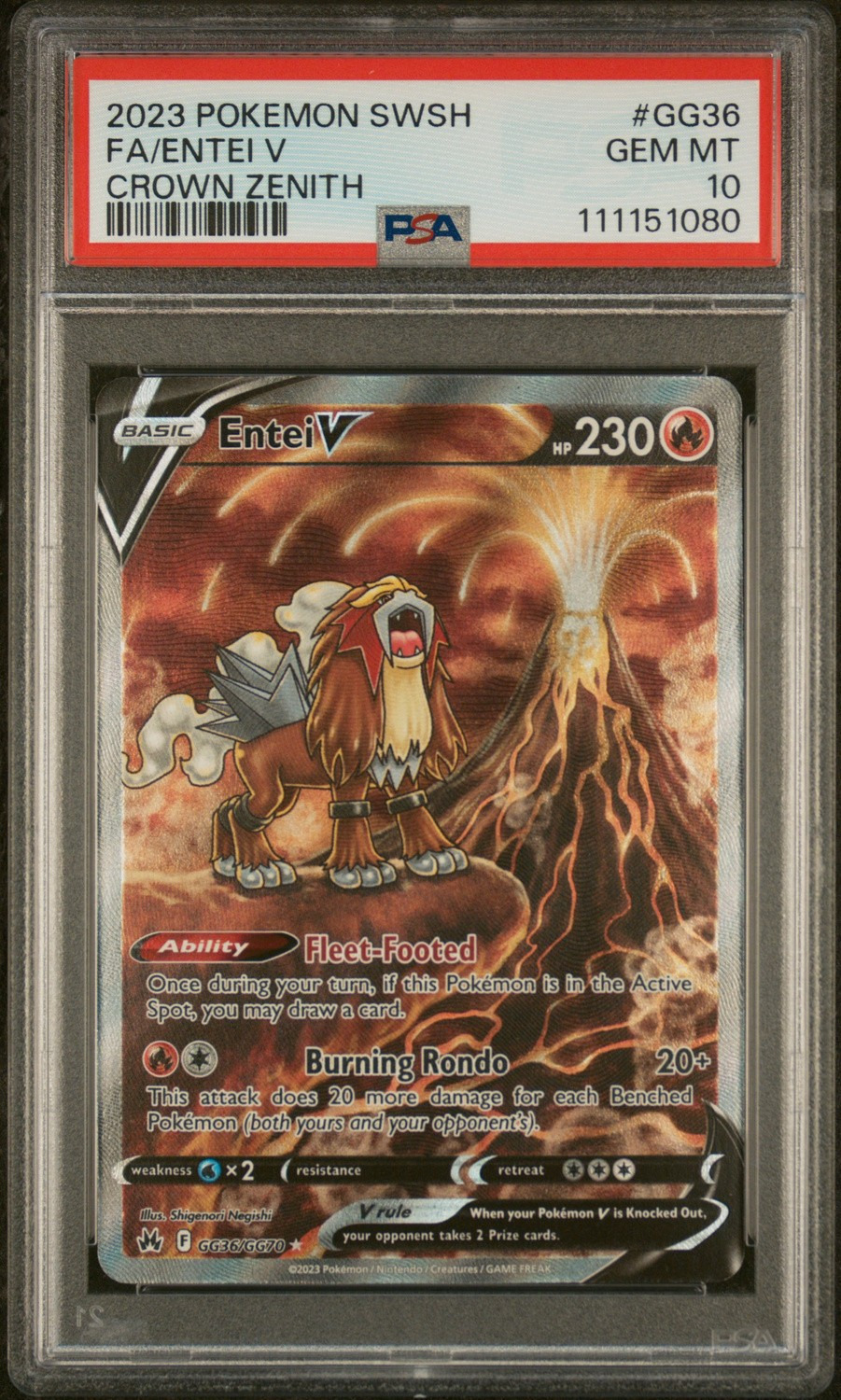 Entei V
