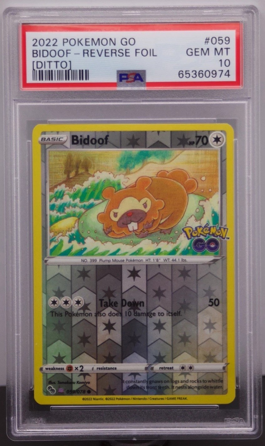 Bidoof