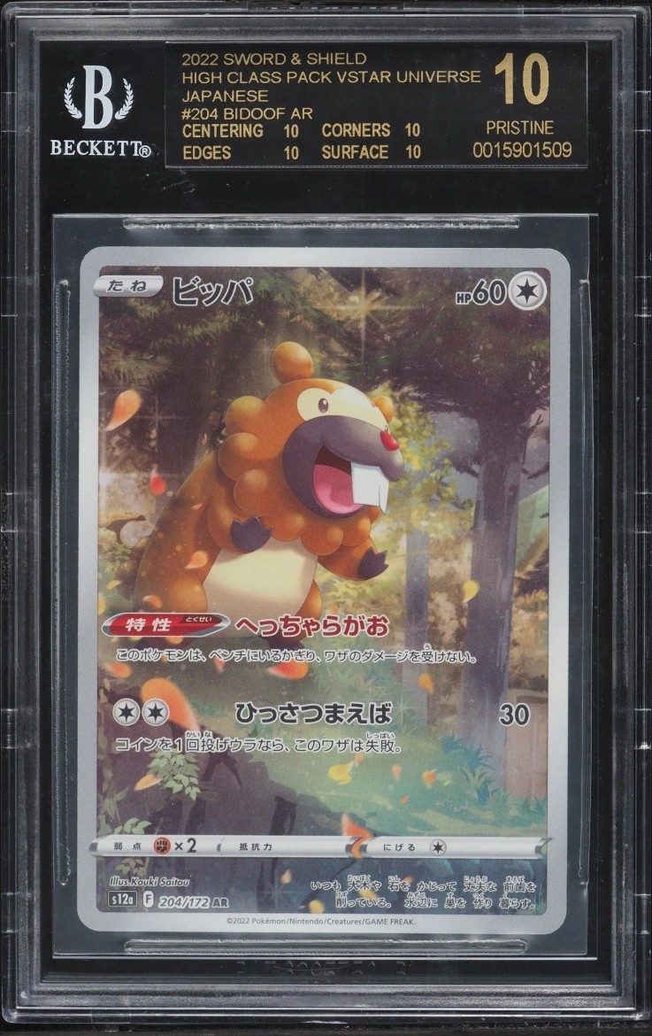Bidoof