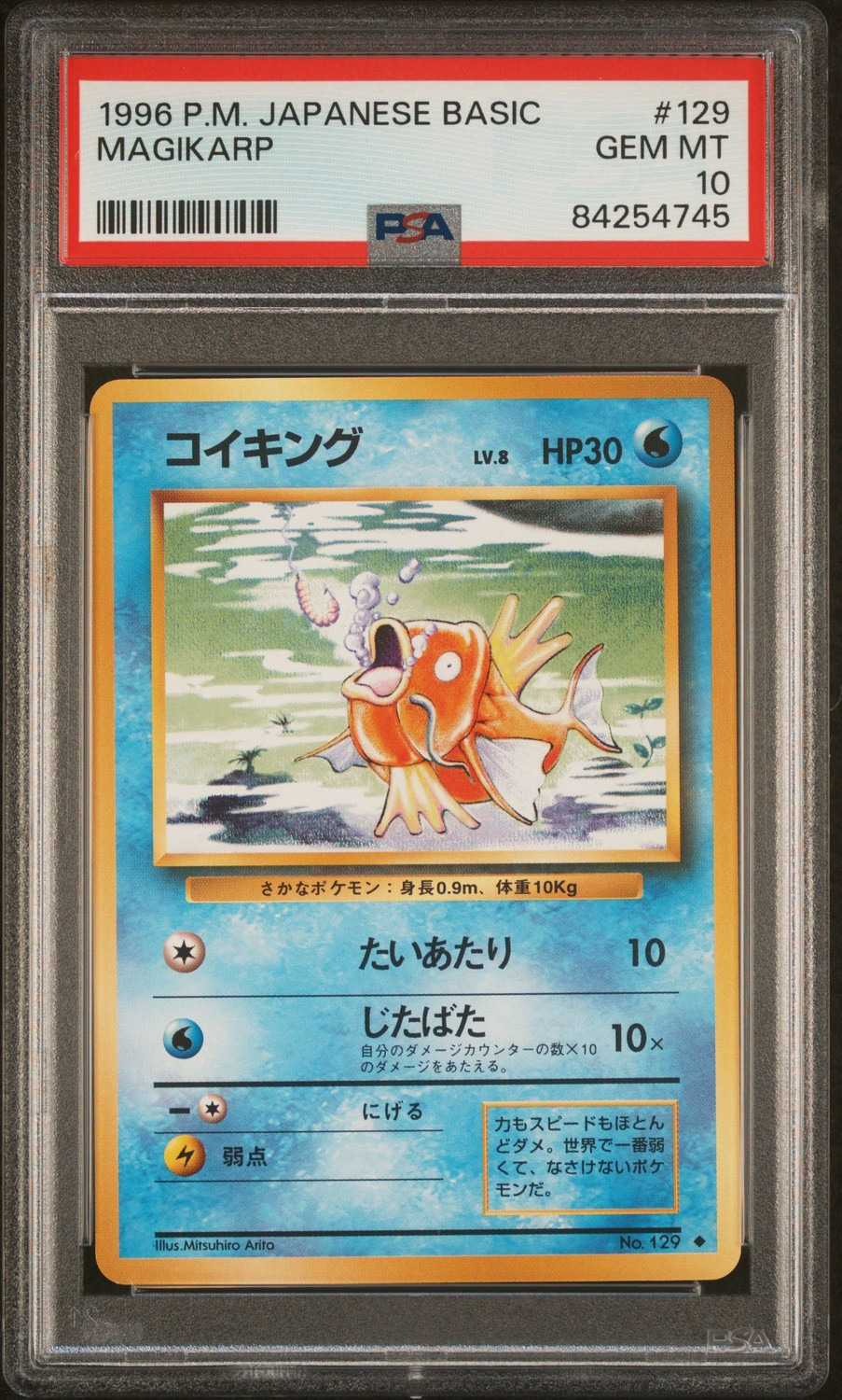 Magikarp