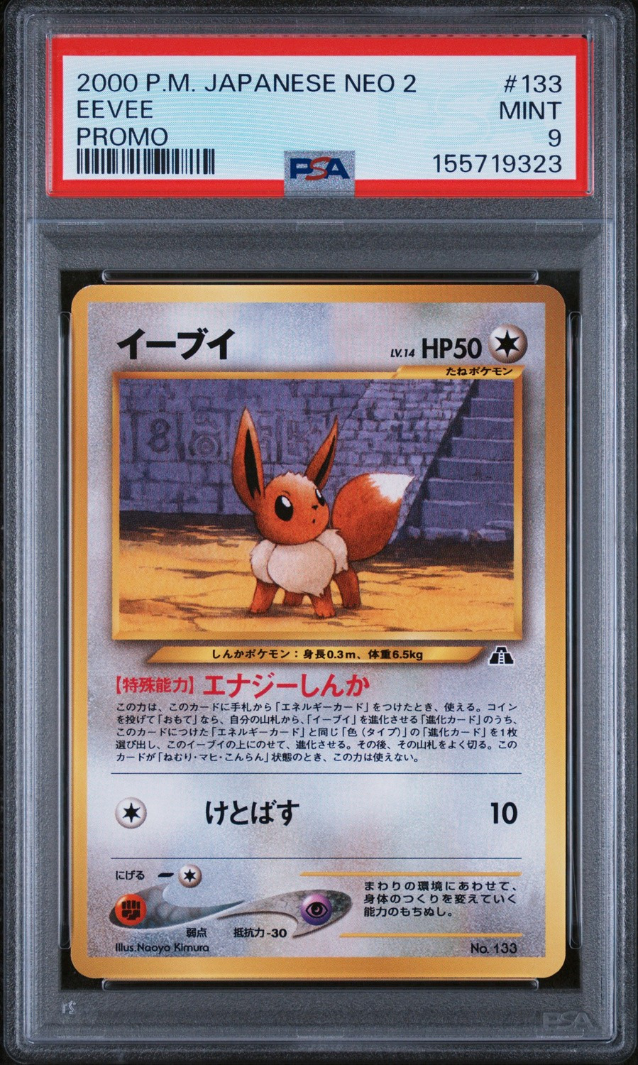 Eevee