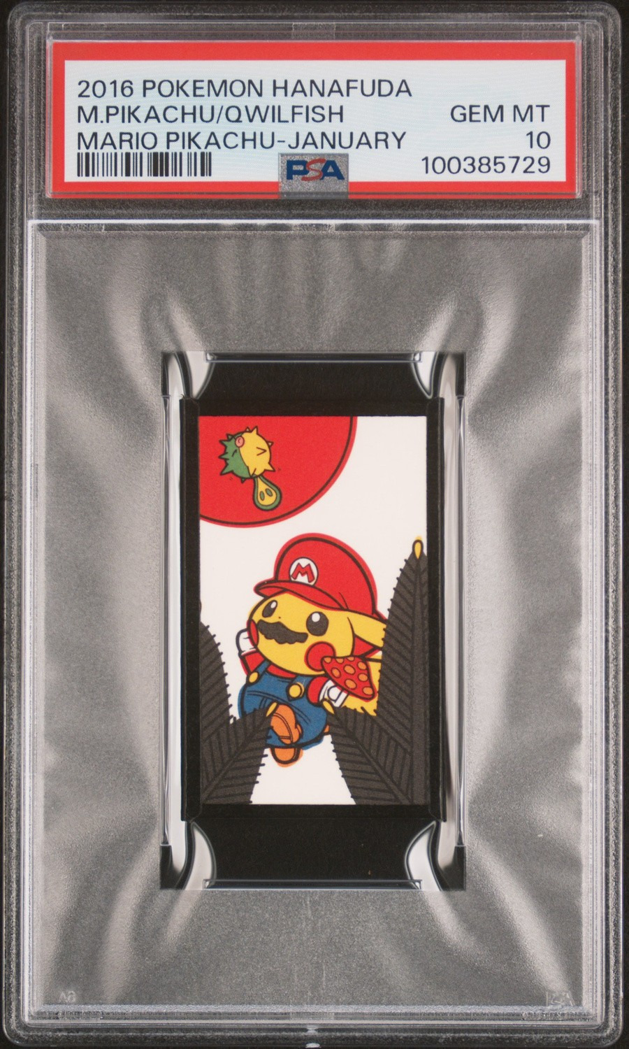 Mario Pikachu-January