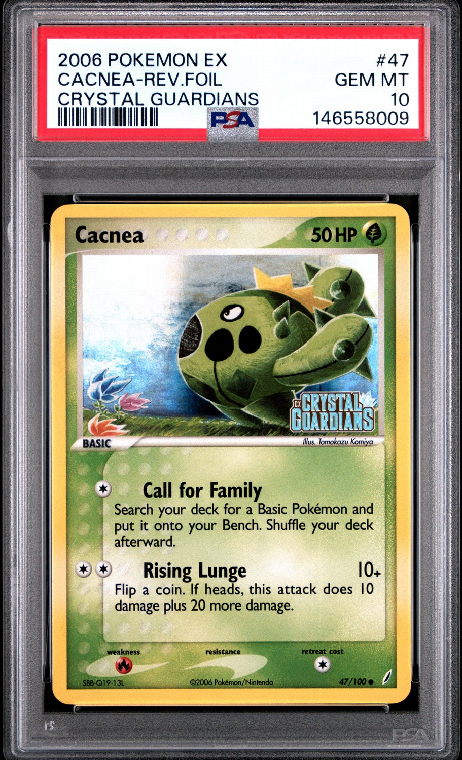 Cacnea