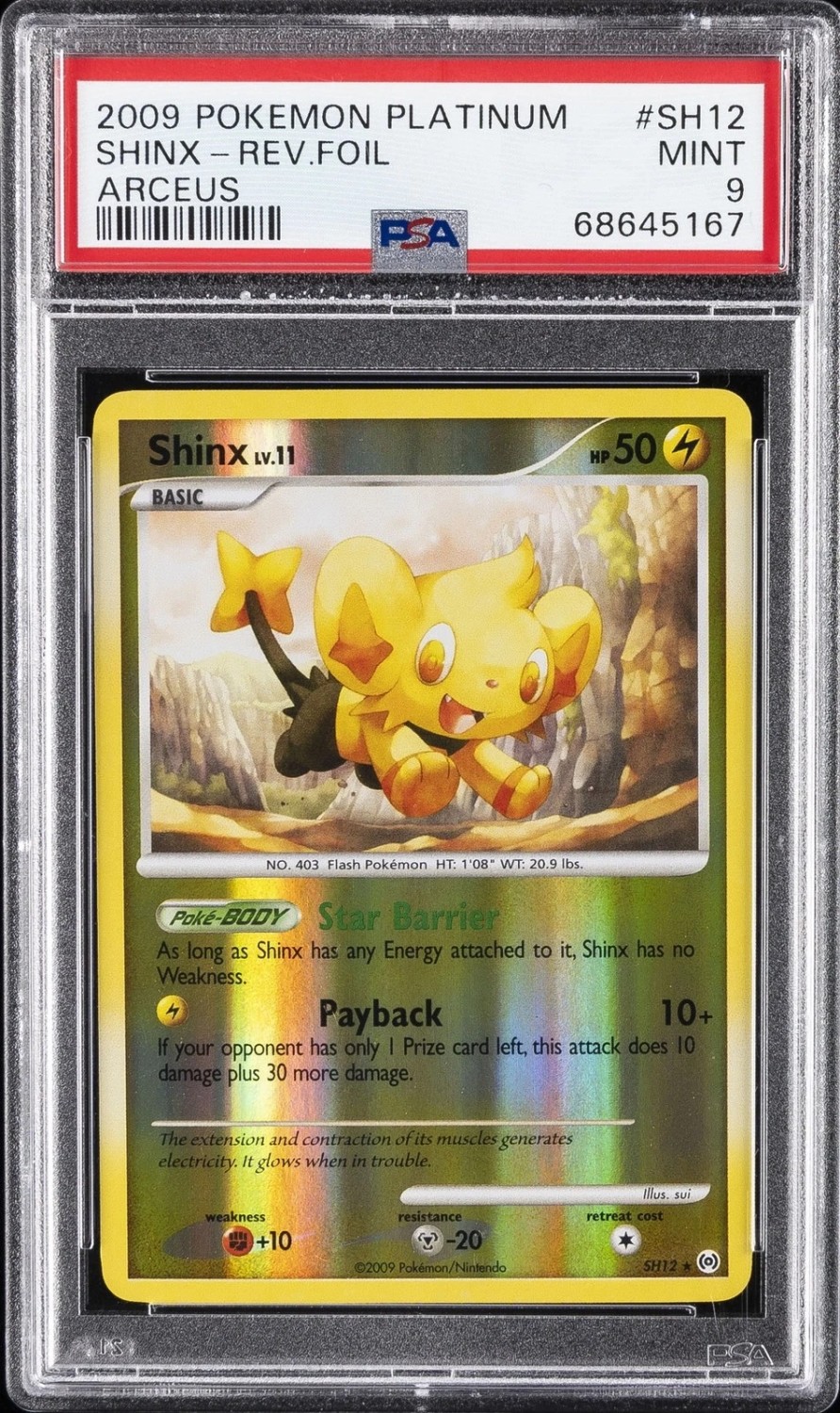 Shinx