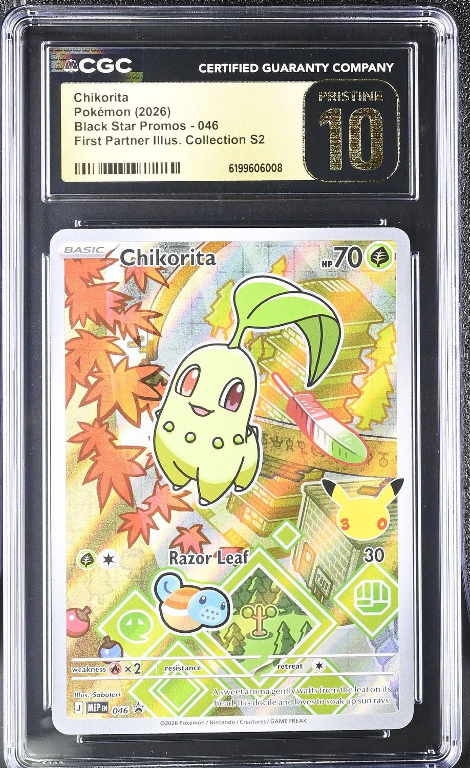 Chikorita
