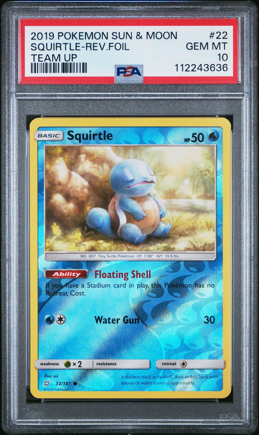Squirtle
