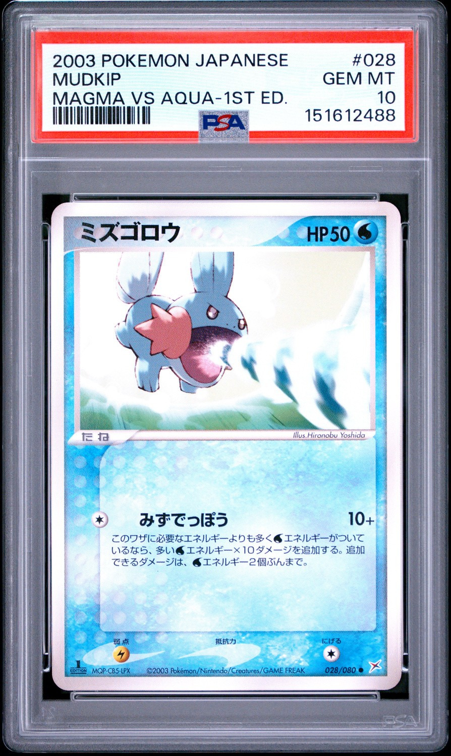Mudkip