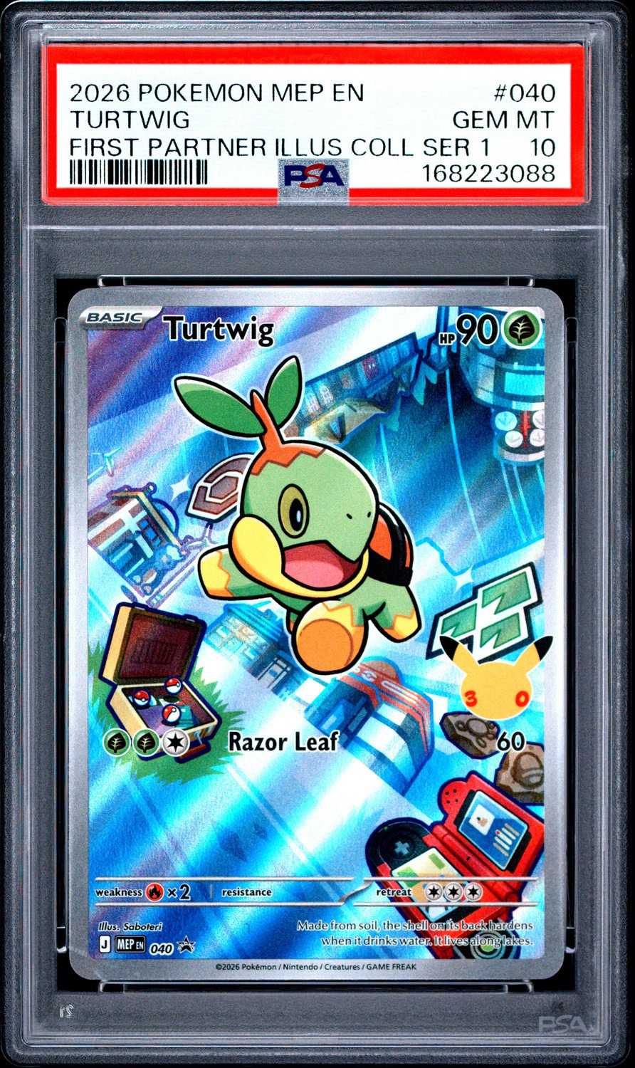 Turtwig