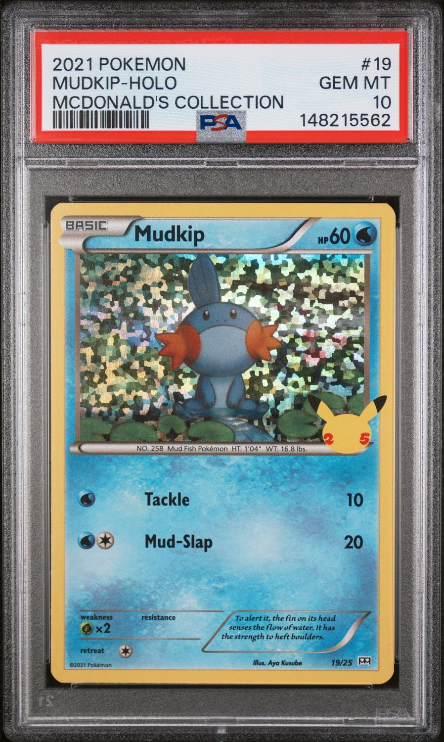 Mudkip