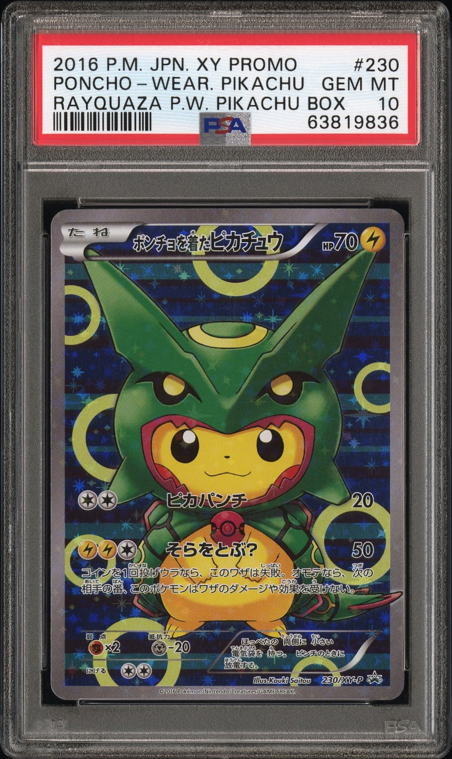 Poncho-Wearing Pikachu