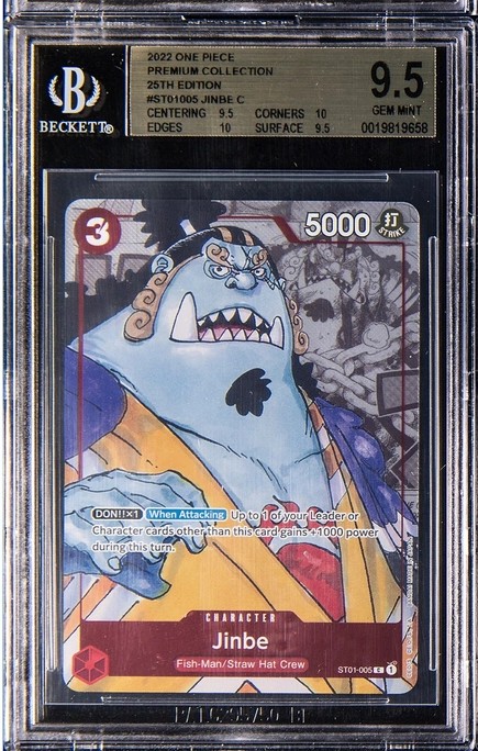 Jinbe C