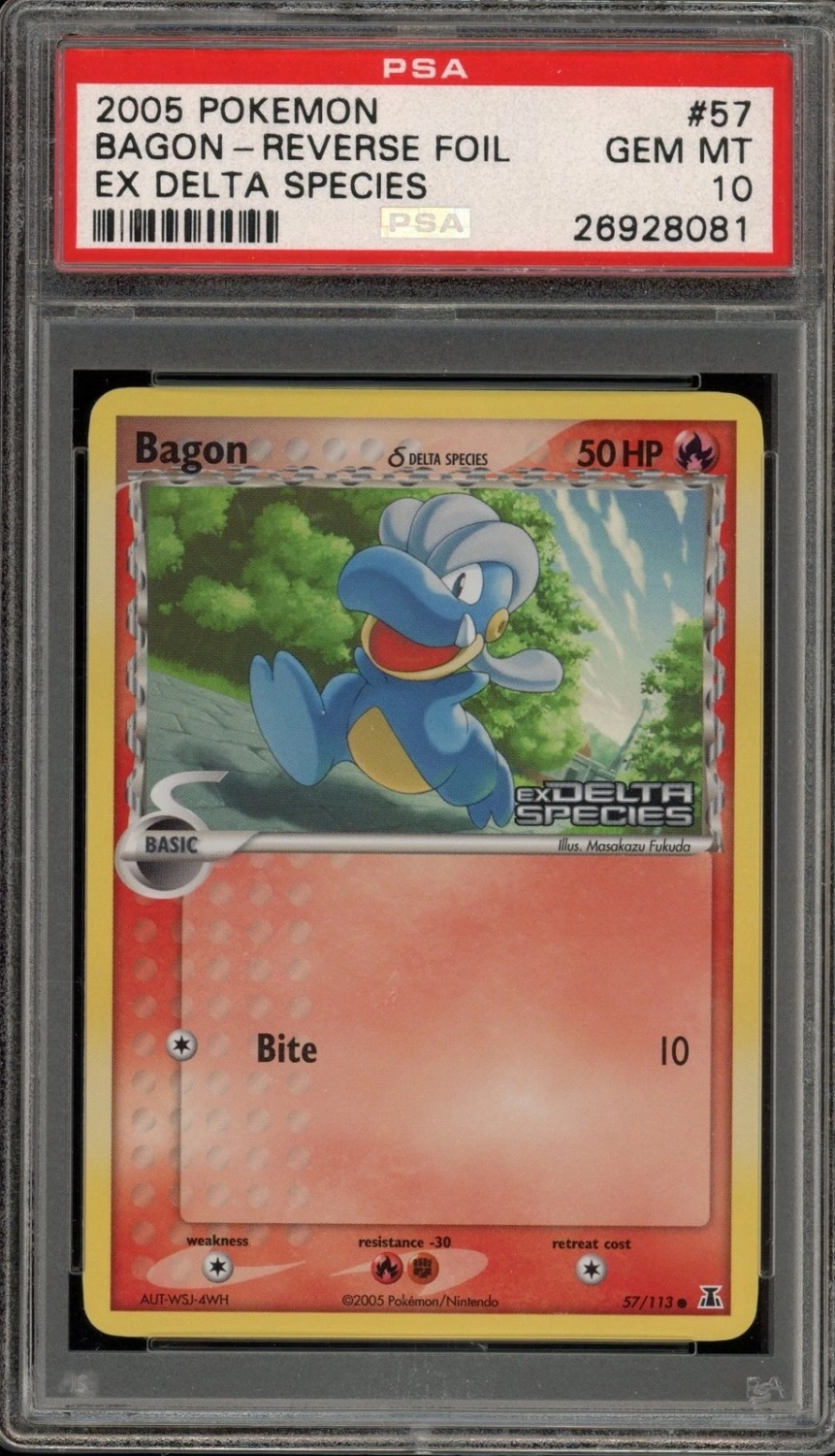 Bagon