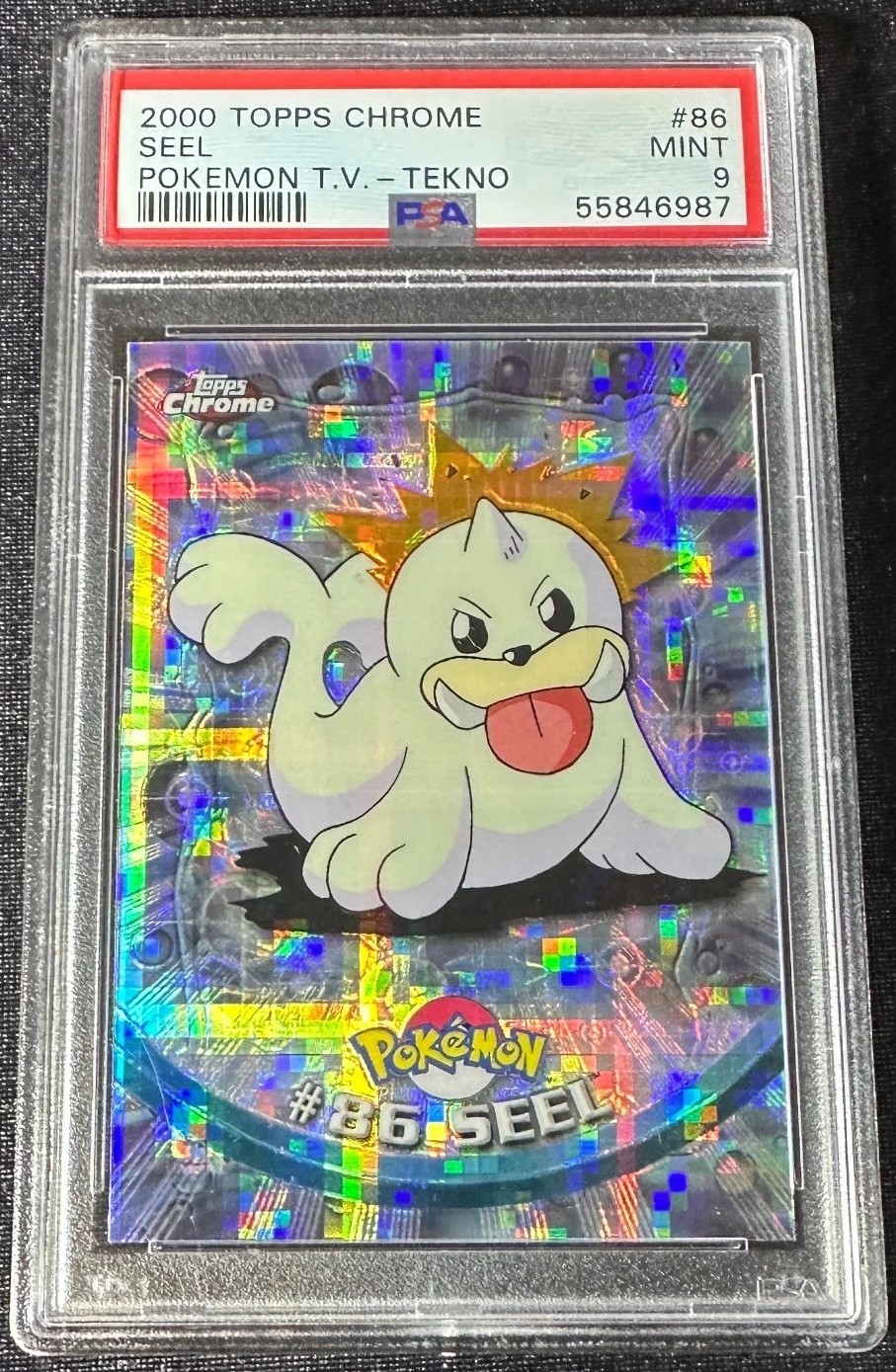 Seel