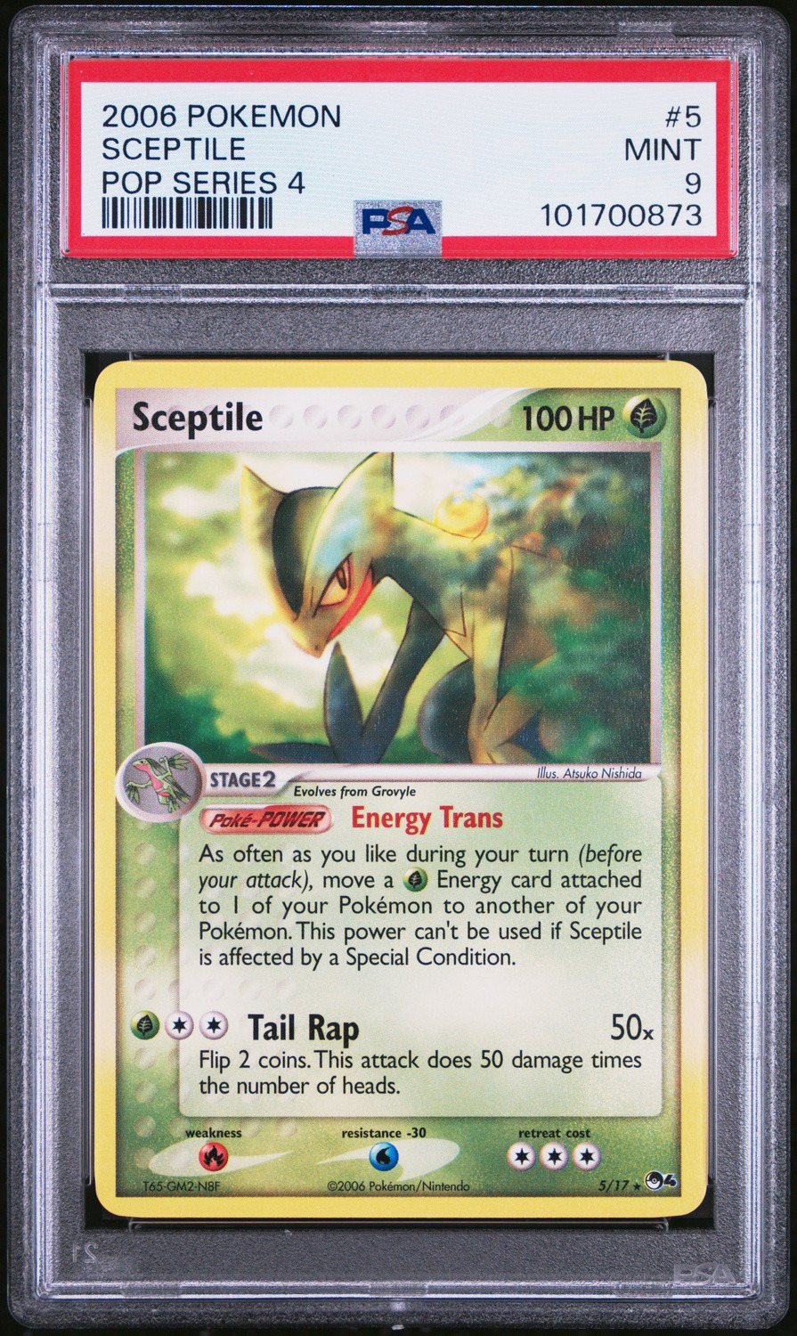 Sceptile
