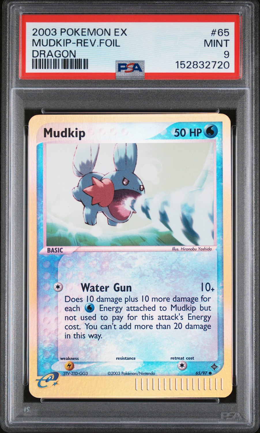 Mudkip