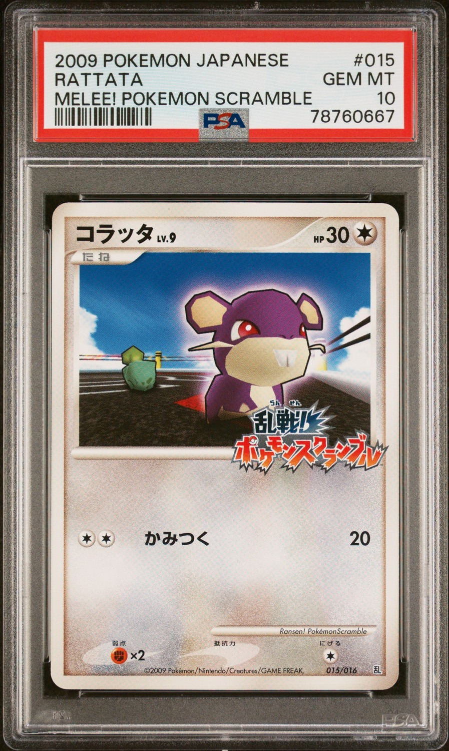 Rattata