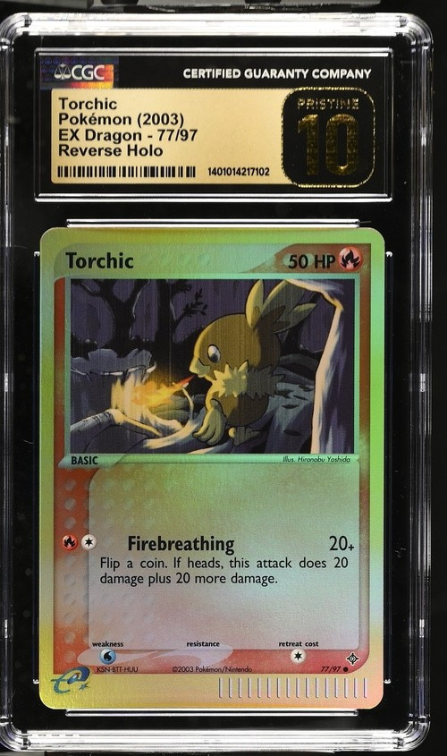 Torchic
