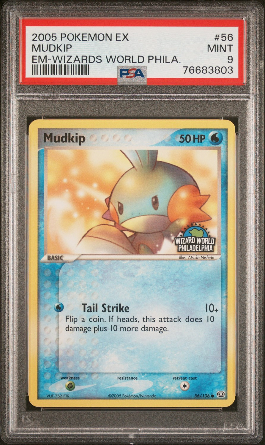 Mudkip