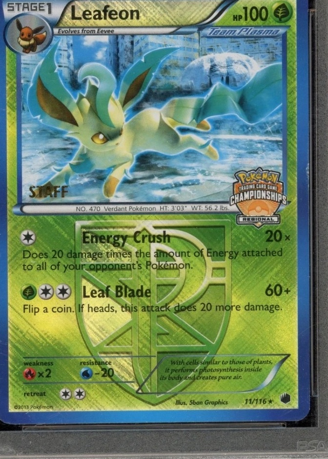 Holo · Championships Crosshatch Euro Regional Spring Staff