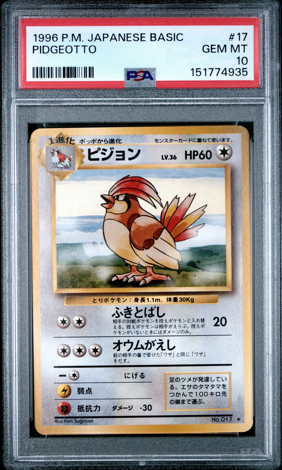 Pidgeotto
