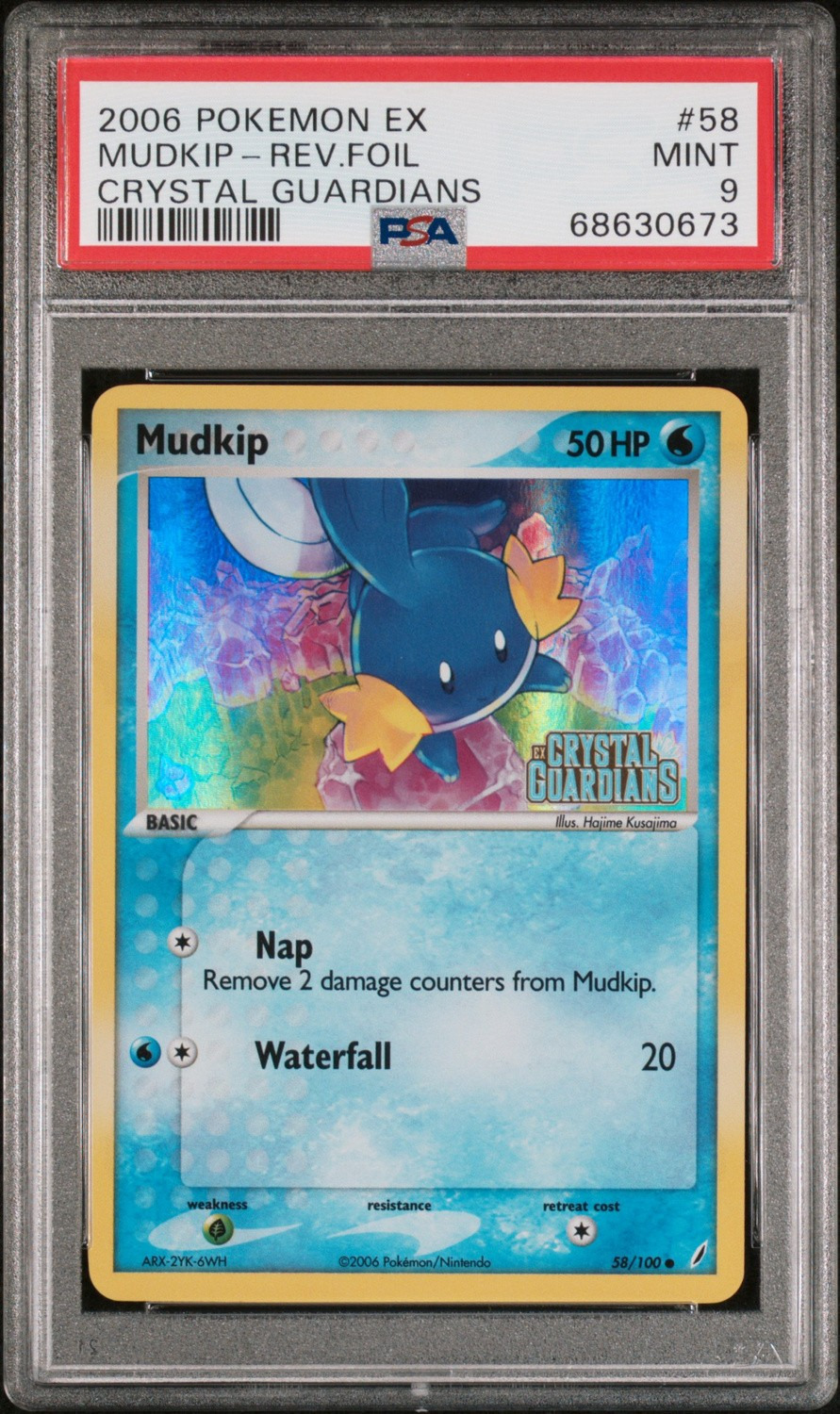 Mudkip