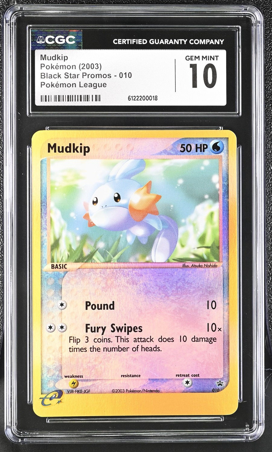 Mudkip