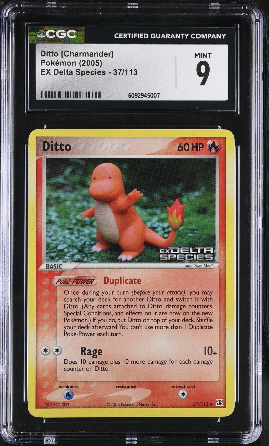 Ditto [Charmander]