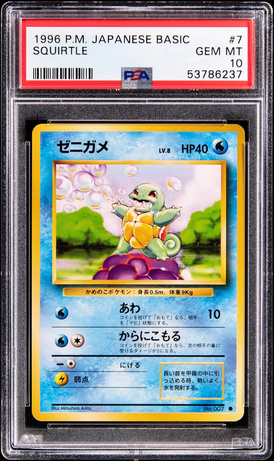 Squirtle