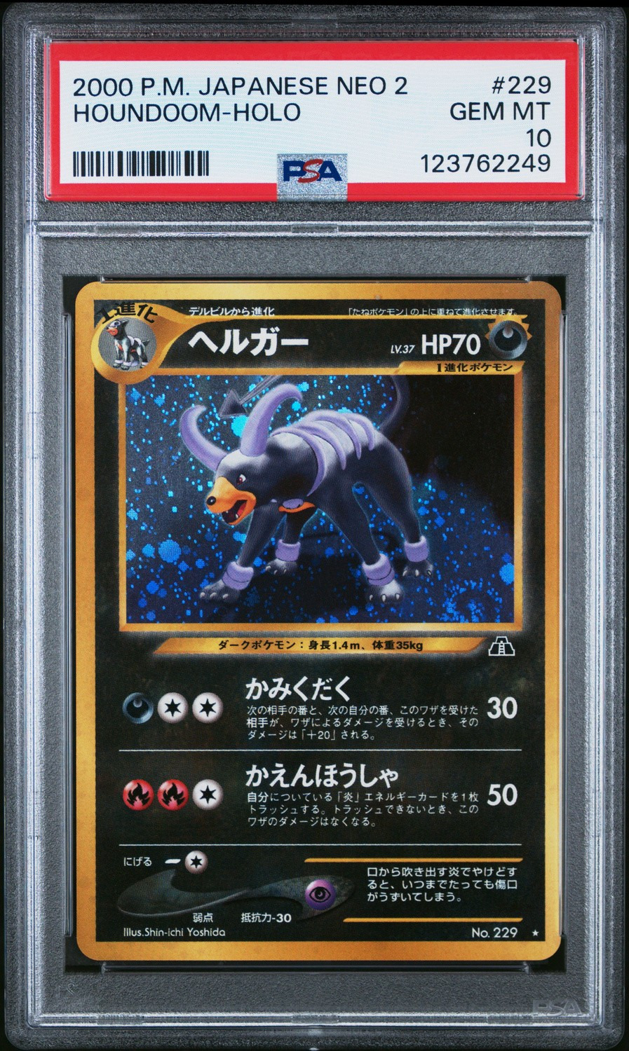 Houndoom