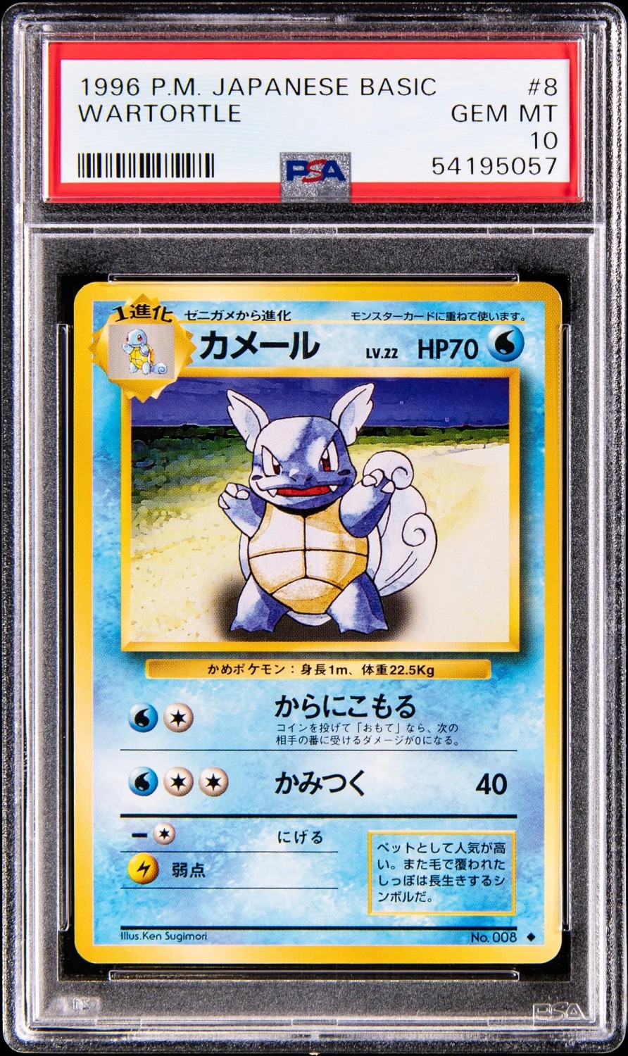 Wartortle