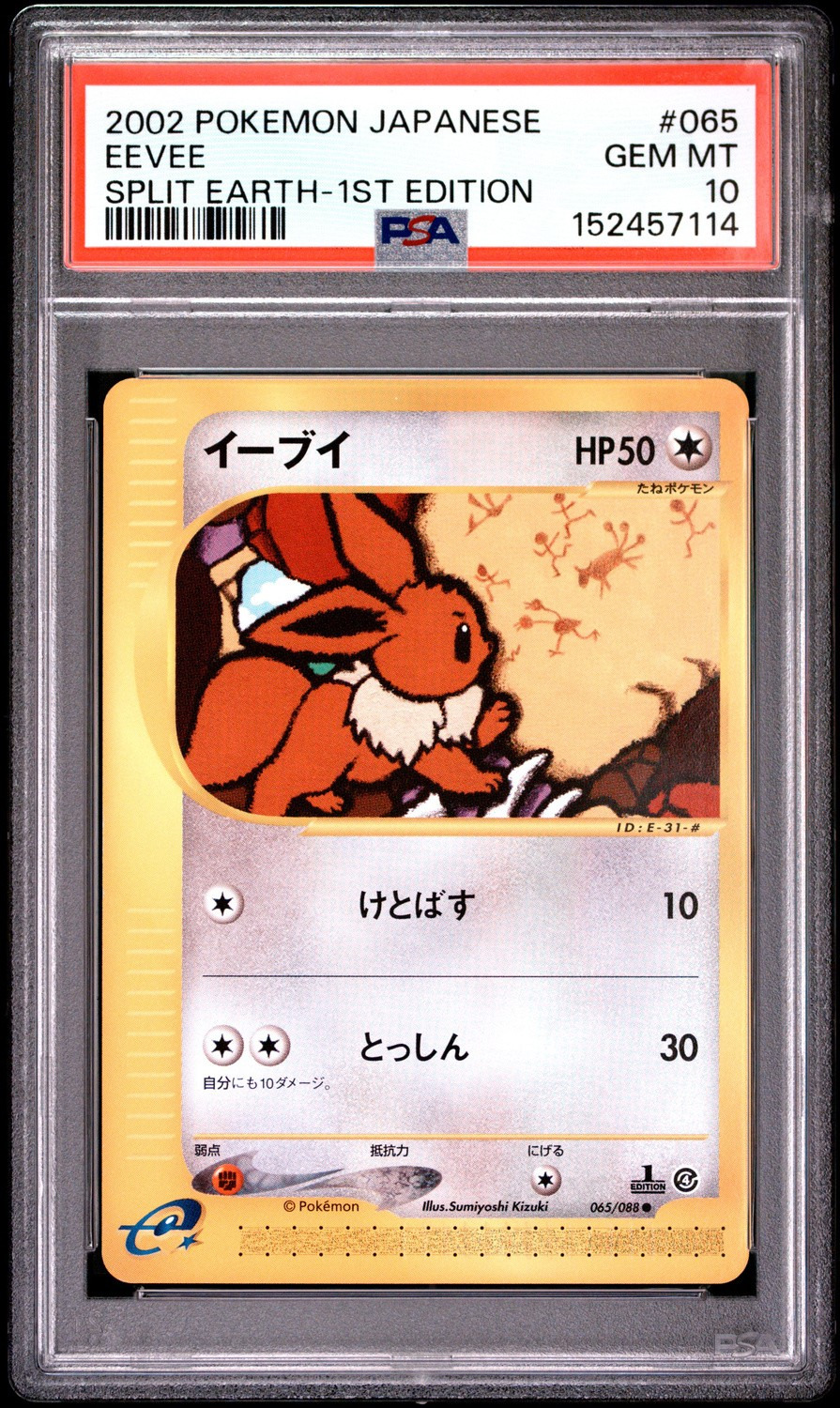 Eevee