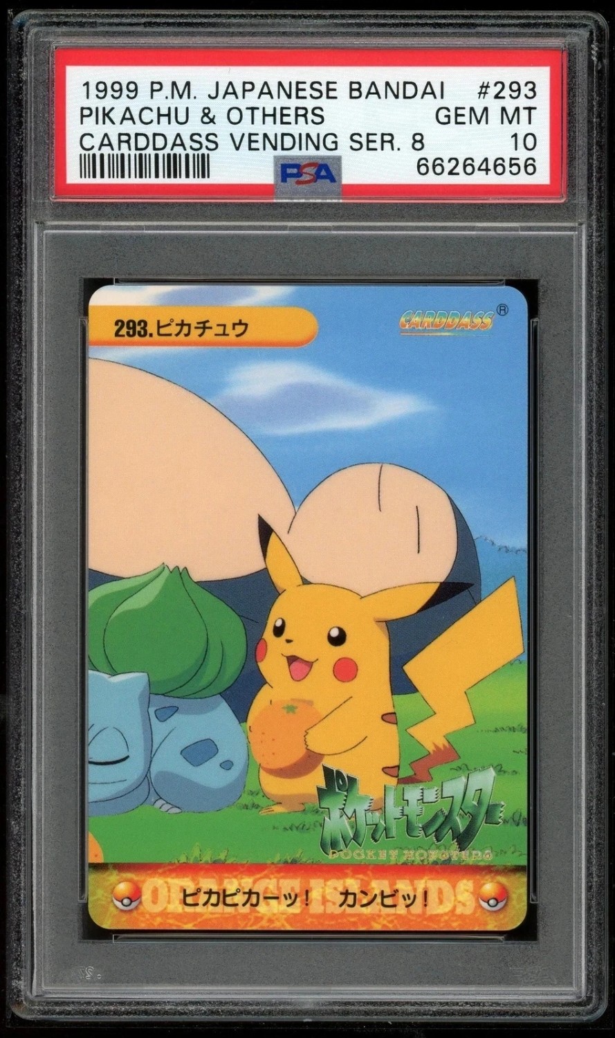 Pikachu & Others