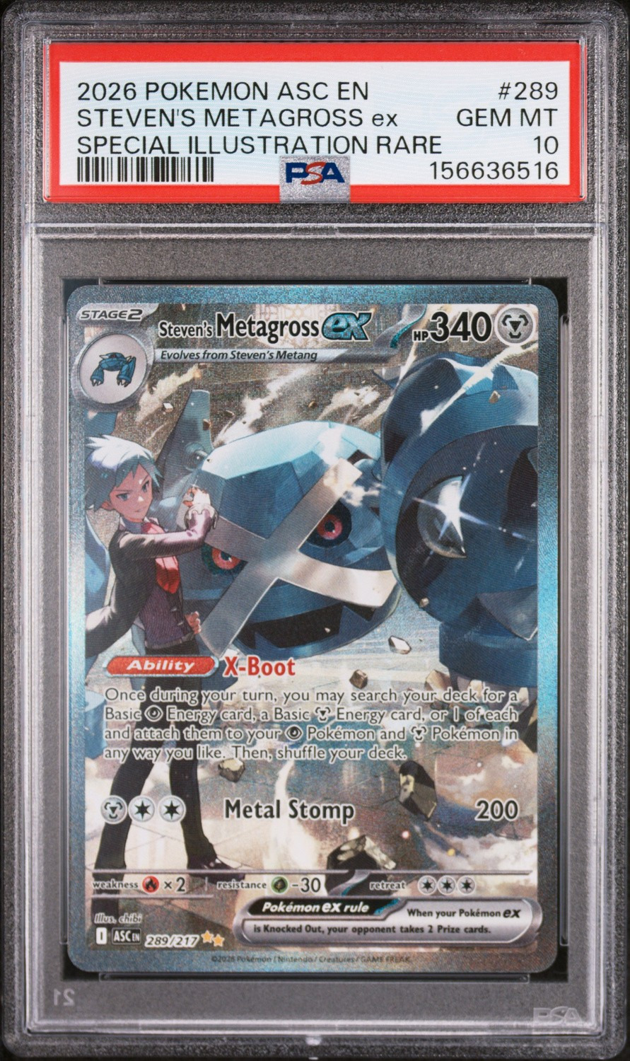 STEVEN'S METAGROSS ex