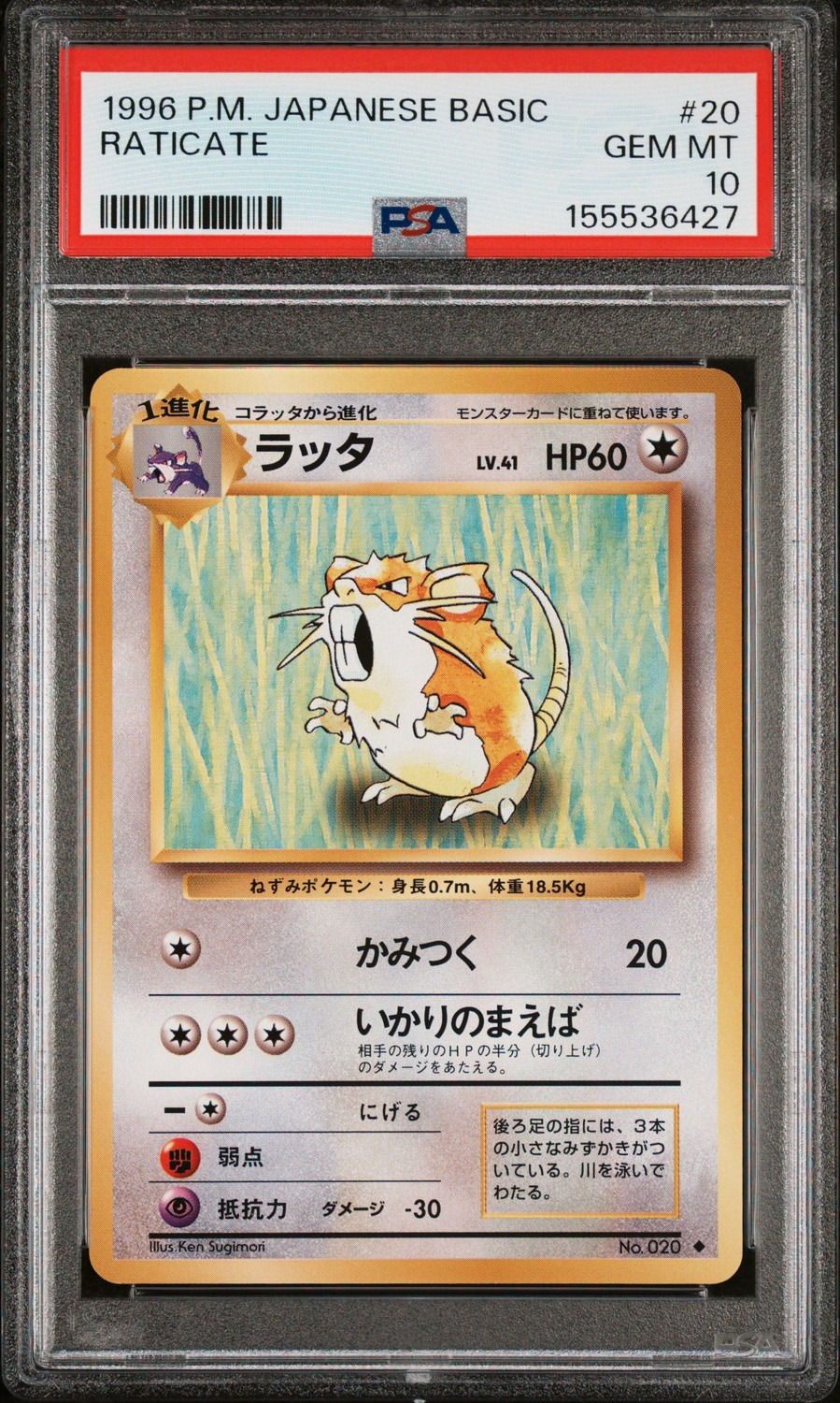 Raticate