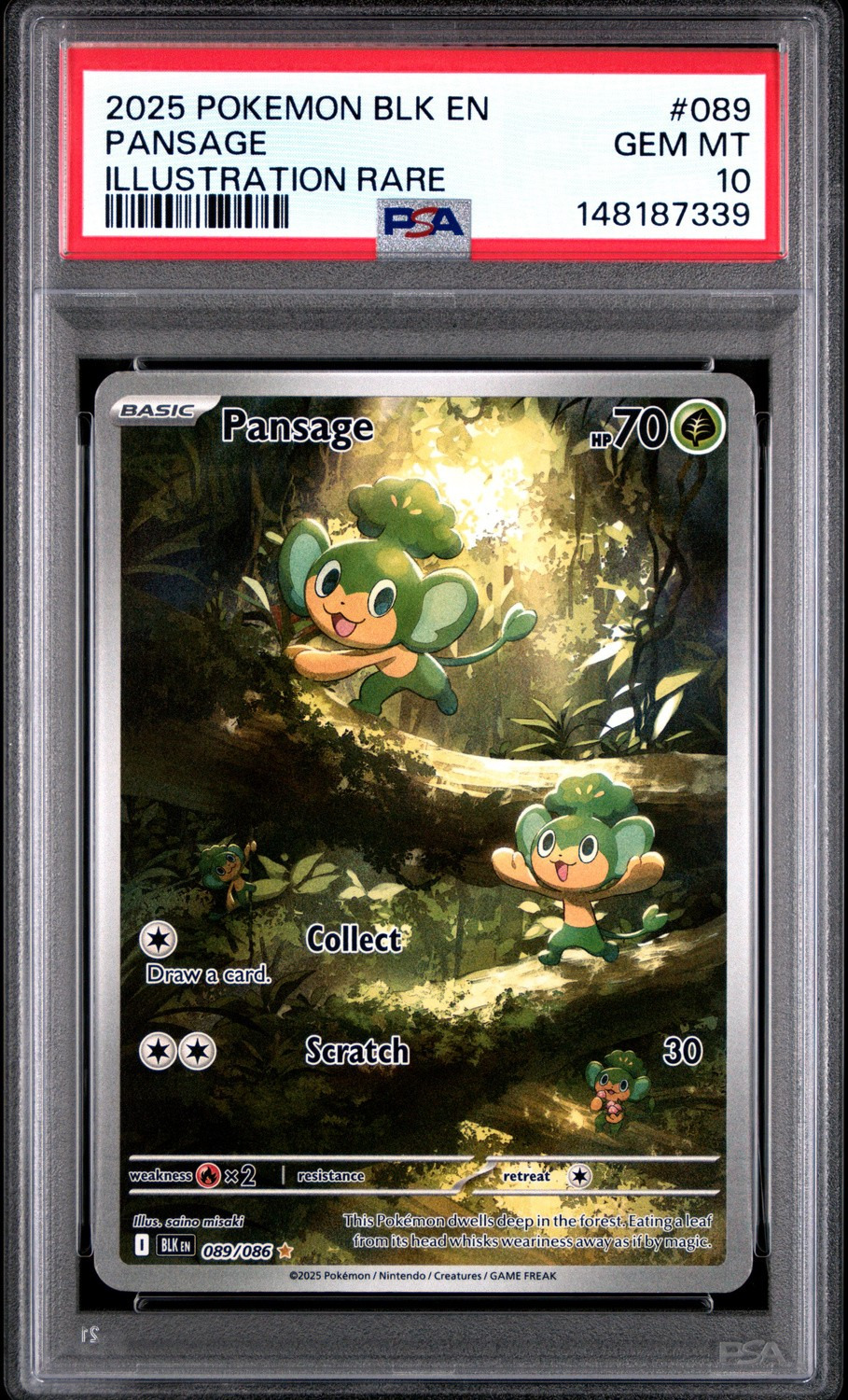 Pansage
