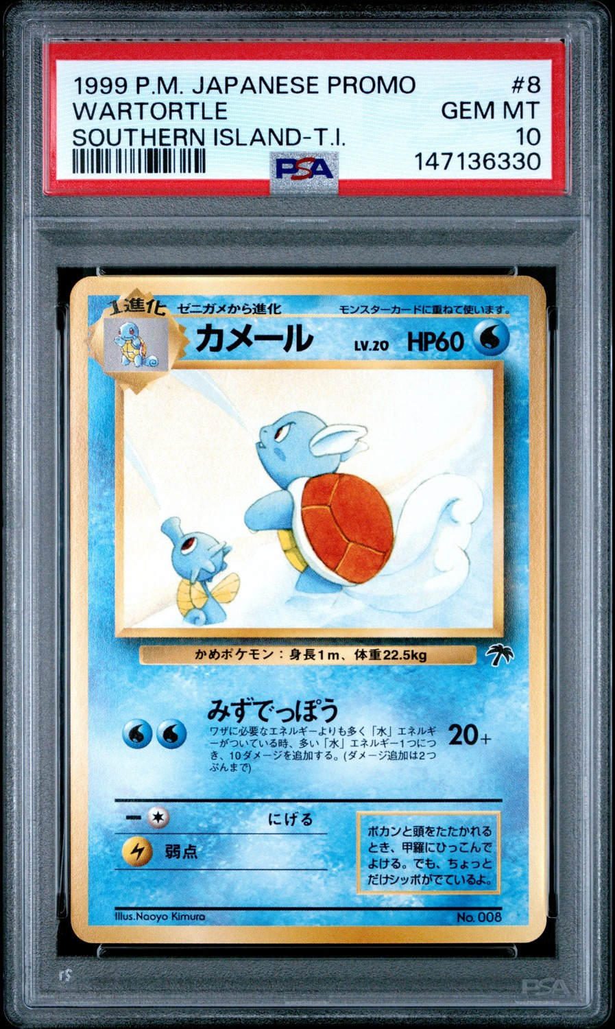 Wartortle