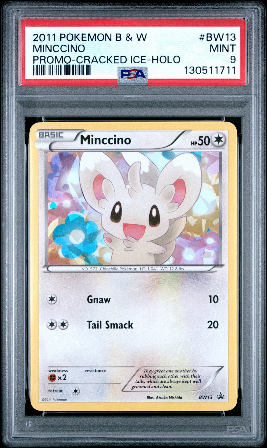 Minccino