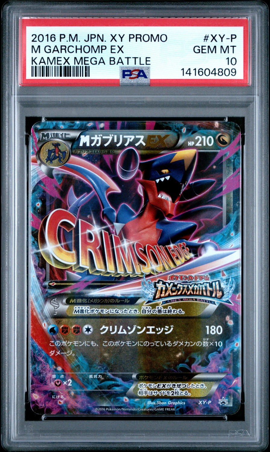 M Garchomp EX