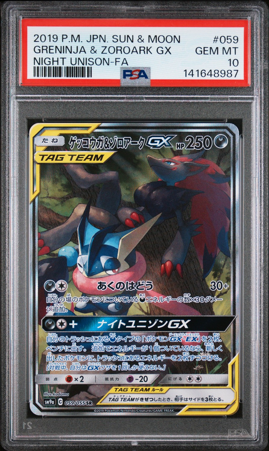 Greninja & Zoroark GX