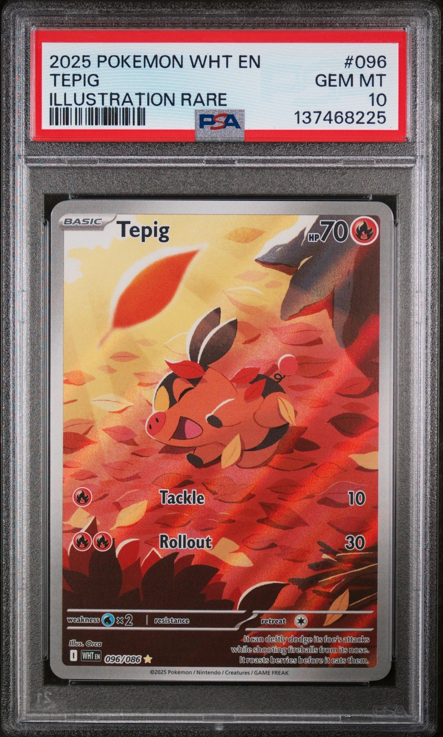 Tepig