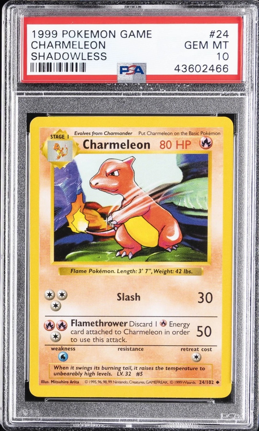 CHARMELEON