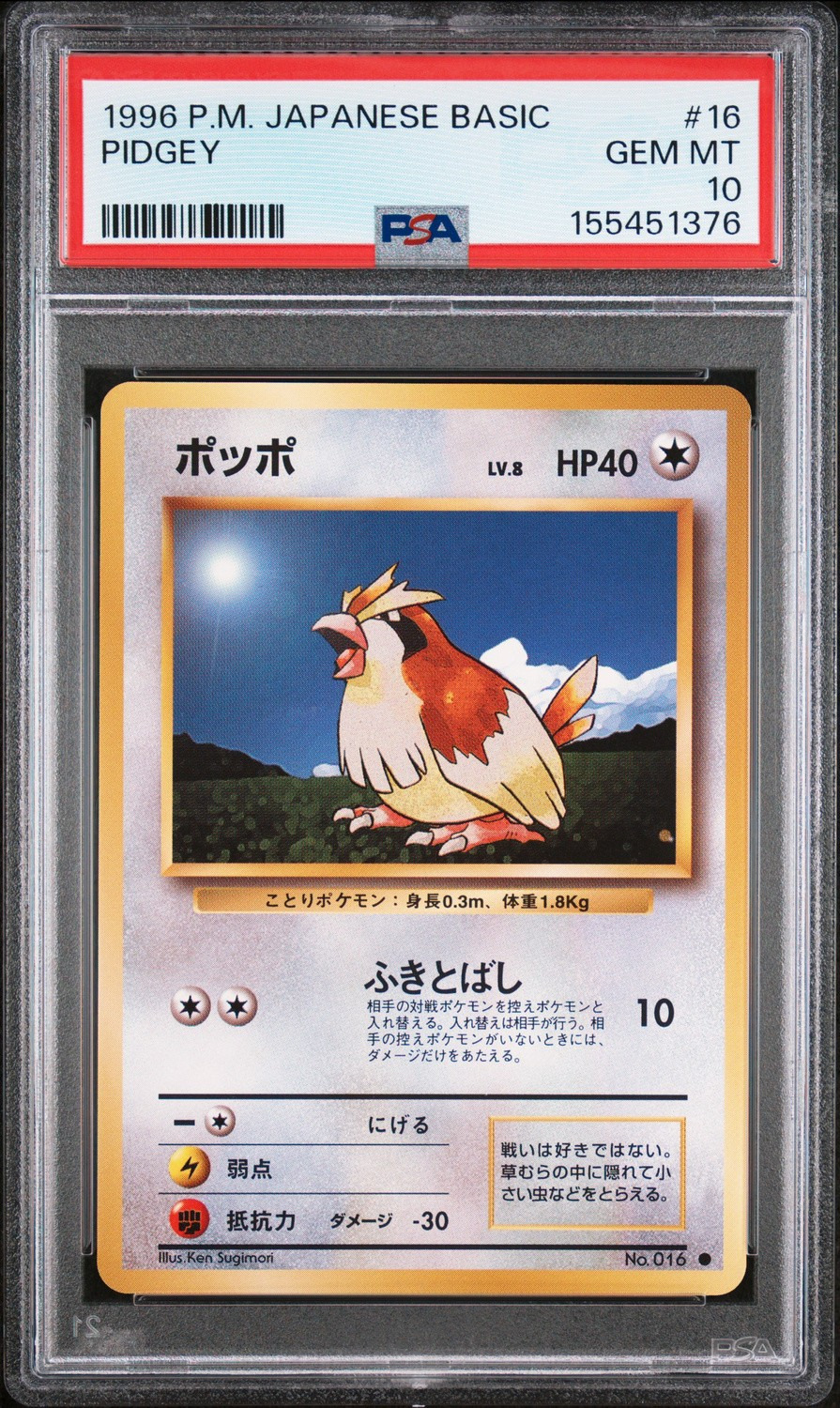 Pidgey